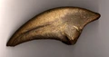 Allosaurus fragilis.jpg