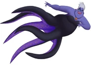 Ursula