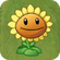 Sunflower2.png