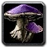 Inv mushroom 06.png