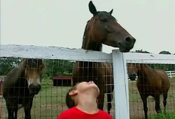 FarmAnimals