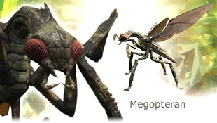 Primeval megopteran.jpg