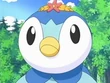 Piplup