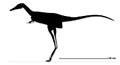 Albertonykus skeletal1.jpg