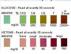 Ketodiastix