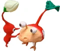 Bulbredpet.jpg