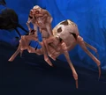 Anub'ar Webspinner.jpg