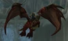 Dragonflayer Raider