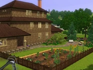 Bachelor Home3