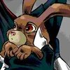 Bunny.jpg