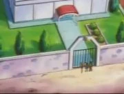 EP237 Gimnasio Pokémon de Pueblo Caoba.jpg (6 KB) EP237 Gimnasio Pokémon de Pueblo Caoba