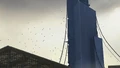 Citadel scanners.jpg