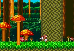 Mushroomhillzone
