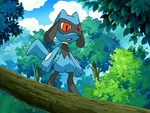EP540 Riolu en el árbol