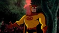 Catman bb