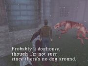 SH1Doghouse