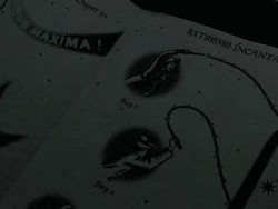 Lumos Maxima
