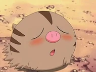 EP553 Swinub lleno (2)