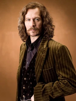 PromoHP5 Sirius Black