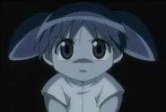 Cap047