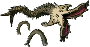 Molgera
