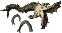 Molgera