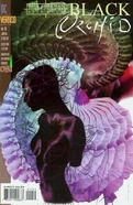 Black Orchid Vol 2 10