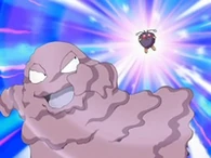 EP557 Grimer y Venonat combatiendo