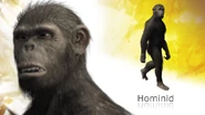 HomonidPrimeval