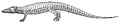 Aetosaurus.jpg