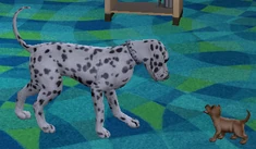 Sims 2 puppy and mother