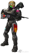 Boomer K