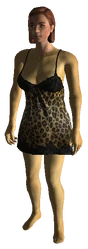 Naughty Nightwear