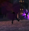 Immolated Champion