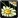 INV Misc Flower 02.png