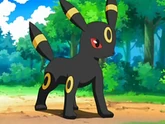 EP554 Umbreon
