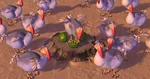 Dodos