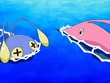 EP558 Chinchou y Gorebyss