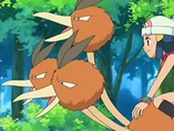 EP560 Maya a lomos de Dodrio