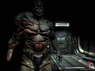 Commando