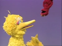 ElmoBigBirdUpDown