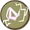 Lightning icon