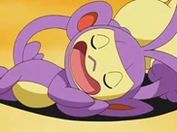 EP564 Ambipom dormido