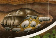 Venusian