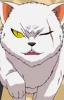 Gero mug