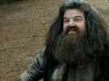 HagridforêtHP3.jpg