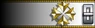 Shoulder insignia.