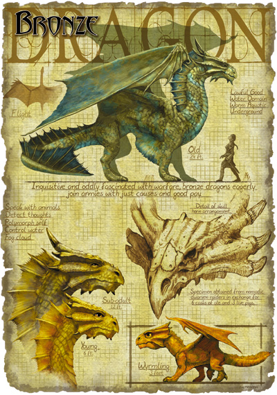 Bronze_dragon_anatomy_-_Richard_Sardinha.jpg