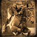 Standard 75x75 collect racehorse arkle 01