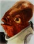 Ackbar NEC.jpg